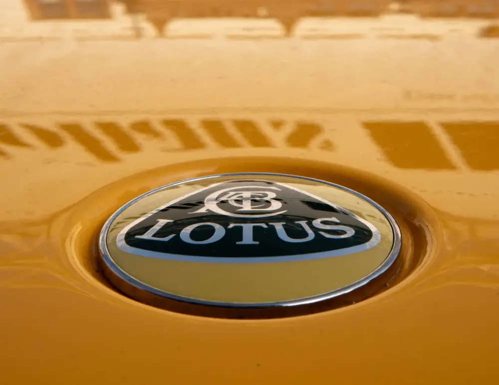 Close-up of a Lotus car logo on a yellow vehicle, with building reflections visible on the shiny surface—a striking image for anyone considering Lotus Exige insurance.