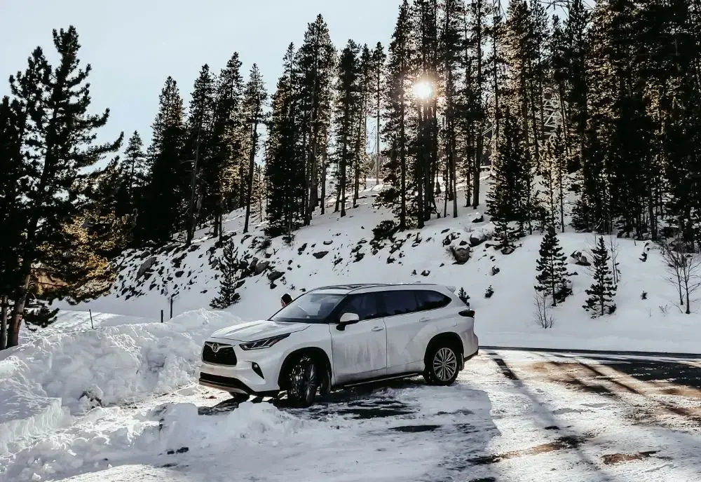 A white SUV is parked on a snowy roadside surrounded by pine trees, with sunlight streaming through the branches on a winter day—an ideal scene for those who value peace of mind with Toyota Insurance.