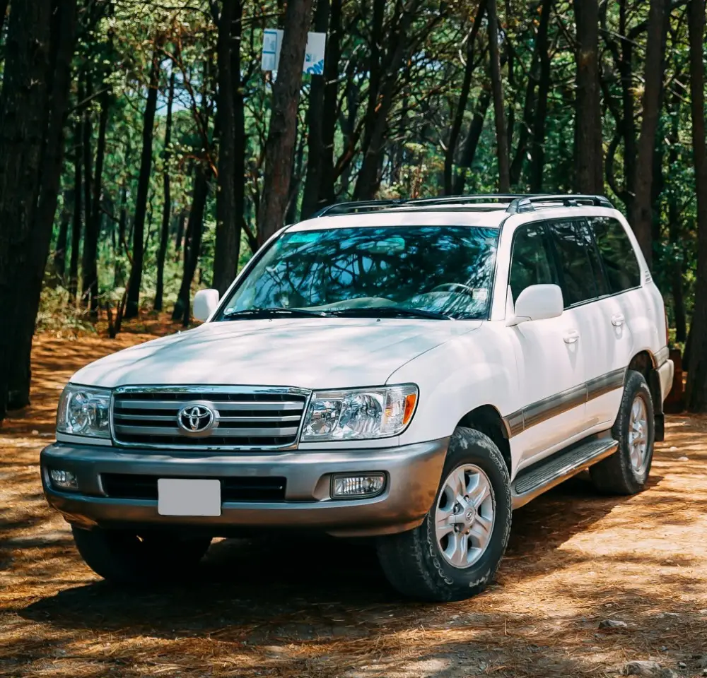 A white Toyota Land Cruiser 4x4 SUV is parked on a sunlit forest floor, surrounded by tall trees with lush green foliage in the background—perfect for those seeking adventure with reliable Toyota insurance.